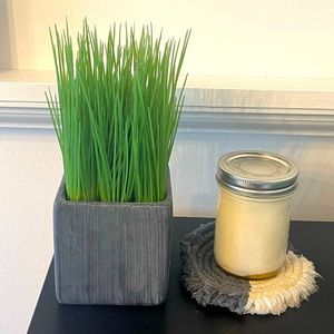 Fake Grass Plant